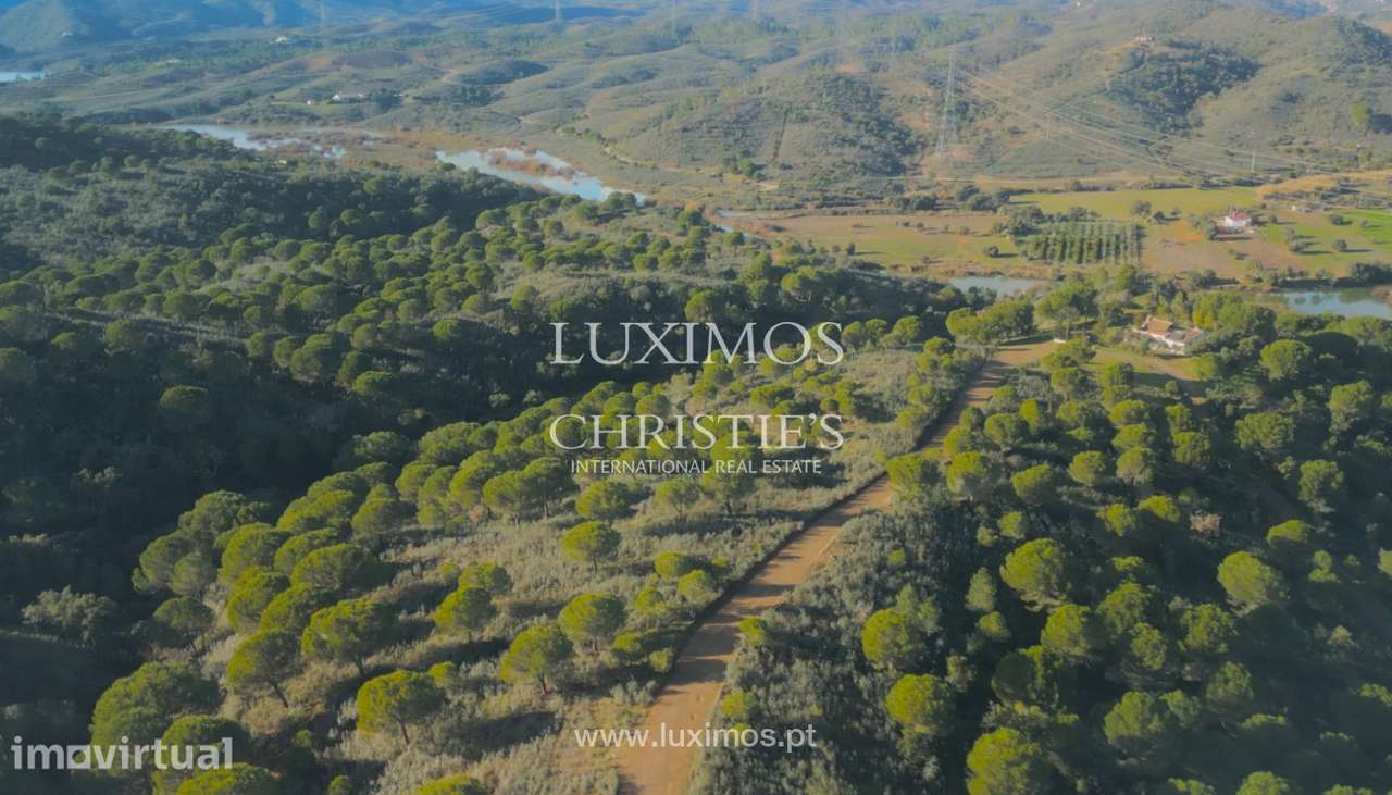 Herdade com ruínas, à venda em São Bartolomeu de Messines, Algarve - Grande imagem: 3/8