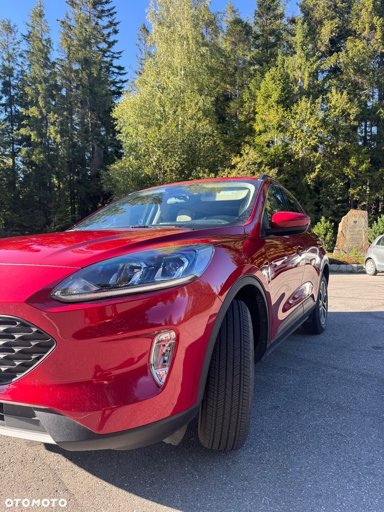 Ford Escape 1.5 EcoBoost AWD SE - 11
