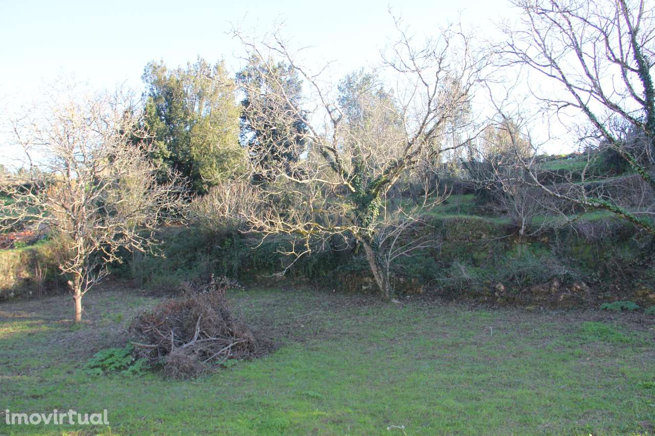 Fantástico terreno para moradia - Grande imagem: 5/27