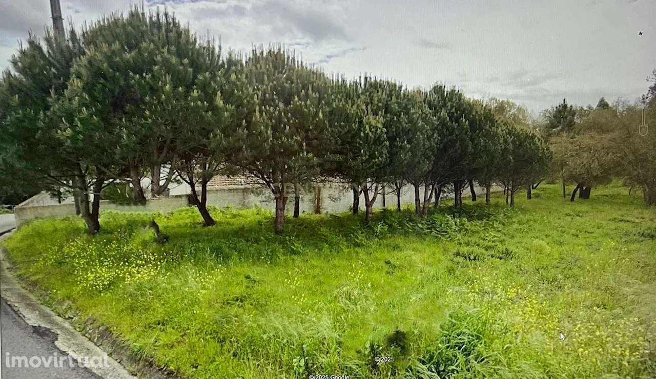 TERRENO RUSTICO - URBANIZAVEL - Grande imagem: 2/8