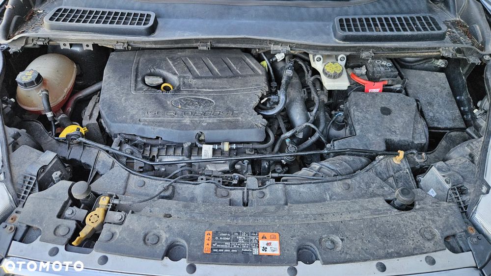 Ford Escape 1.5 EcoBoost AWD SE - 26