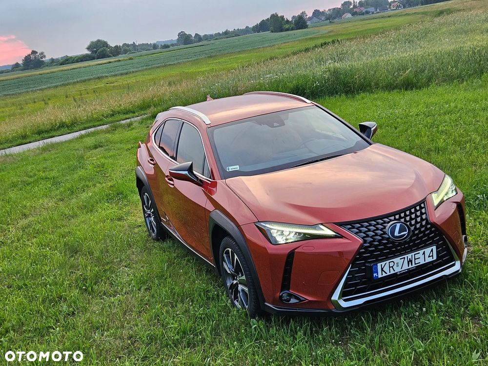 Lexus UX 250h GPF Omotenashi AWD - 2