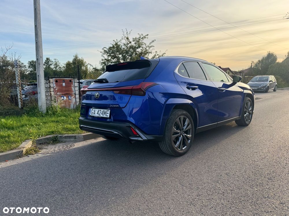 Lexus UX 300h F Sport - 7