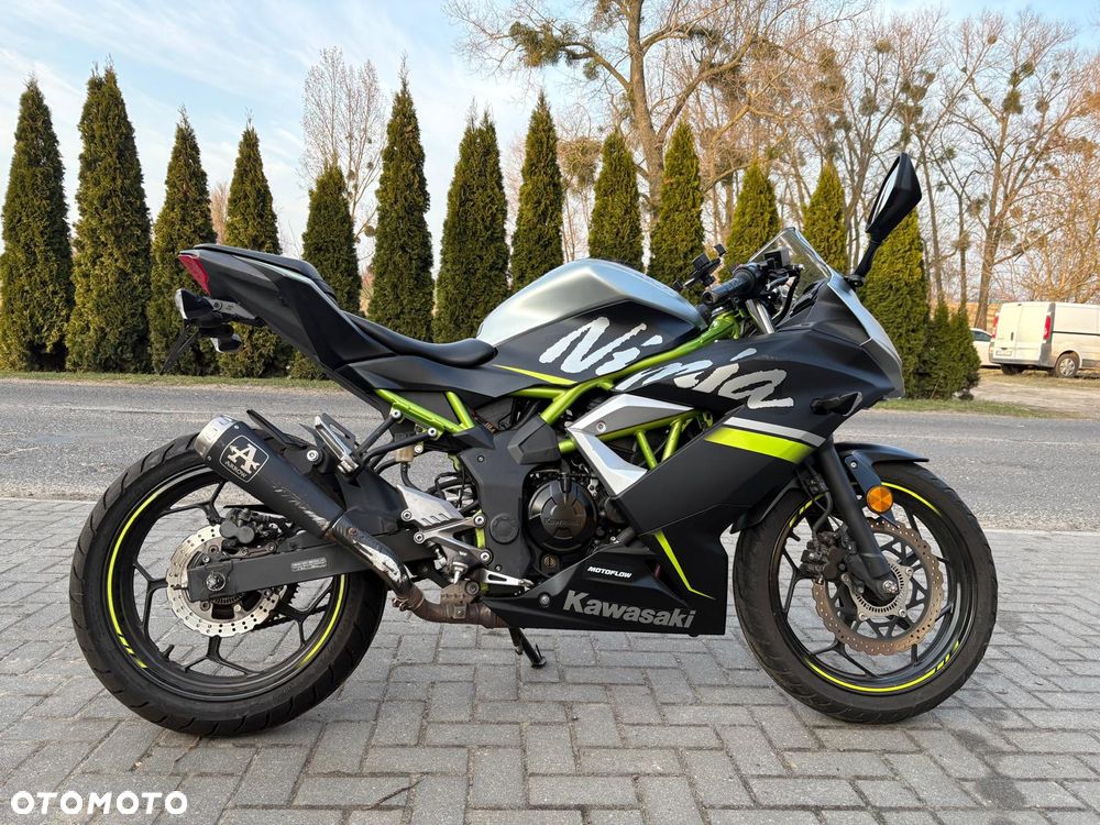 Kawasaki Ninja - 2