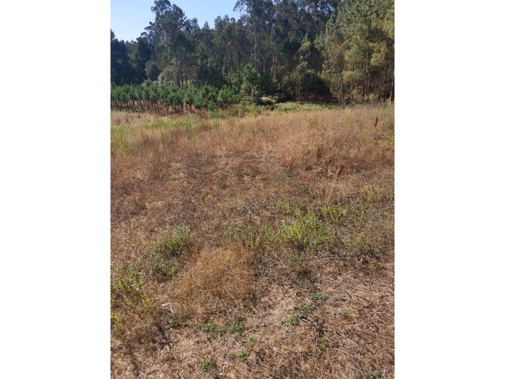 Terreno, Milagres, Leiria - Grande imagem: 3/7