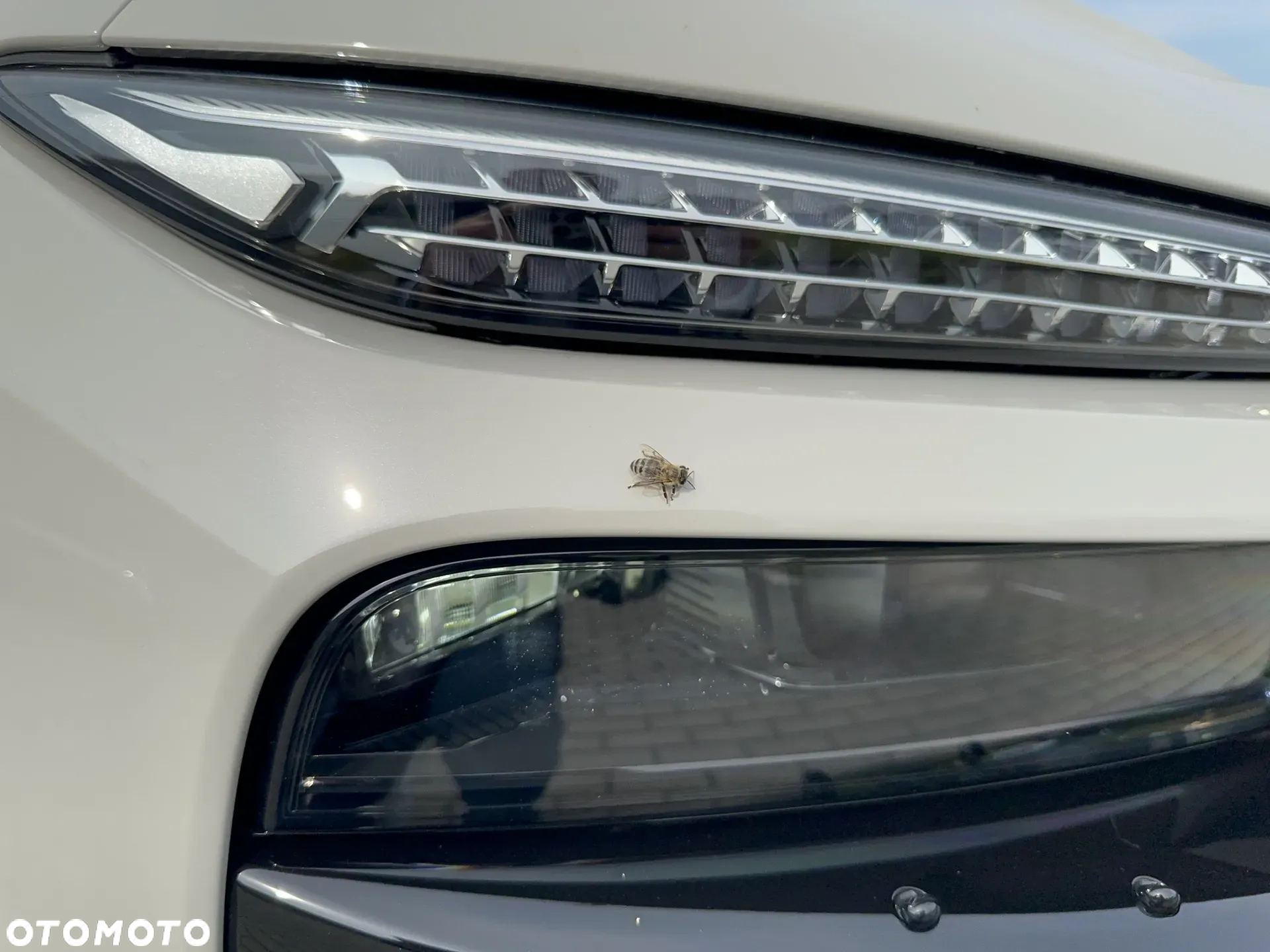Audi A6 Sportback e-tron 83kWh - 19