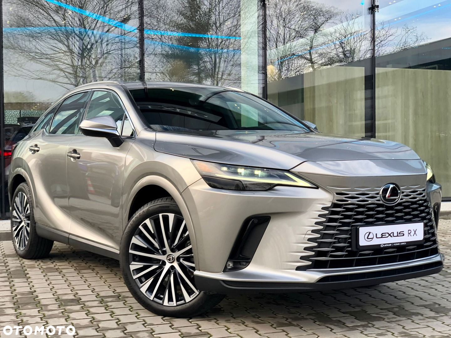Lexus RX - 9