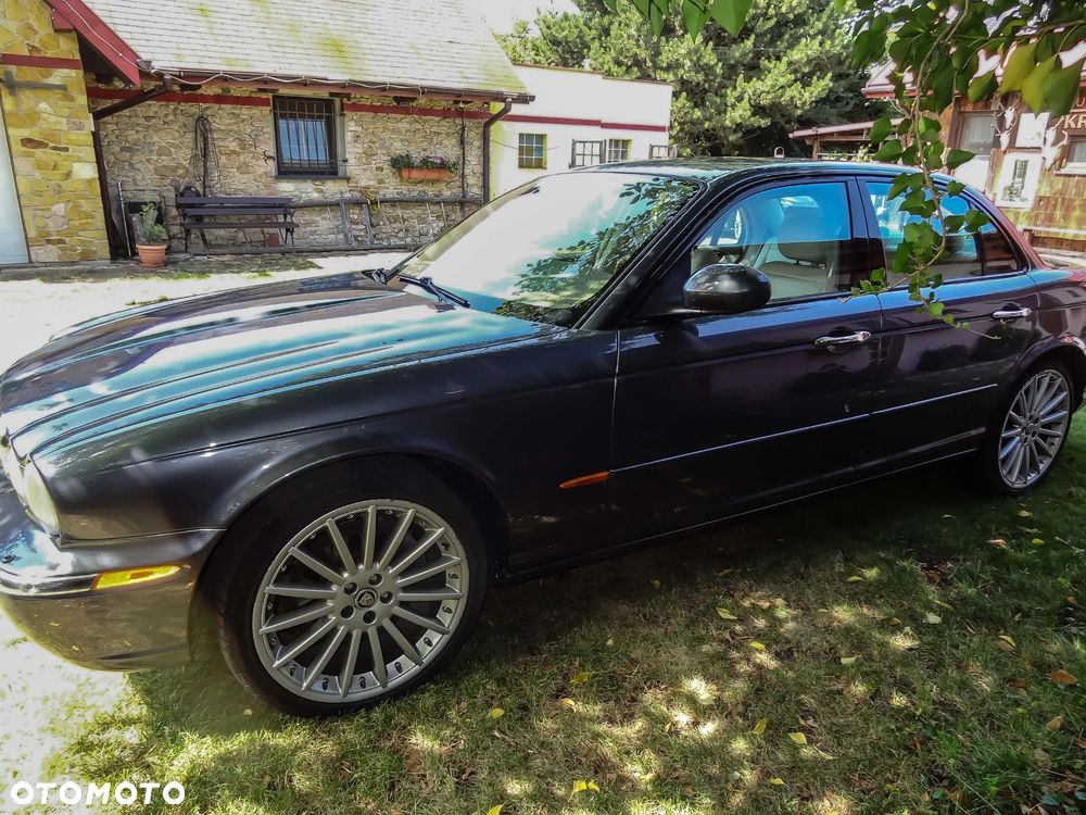 Jaguar XJ XJ8 4.2 Executive - 1