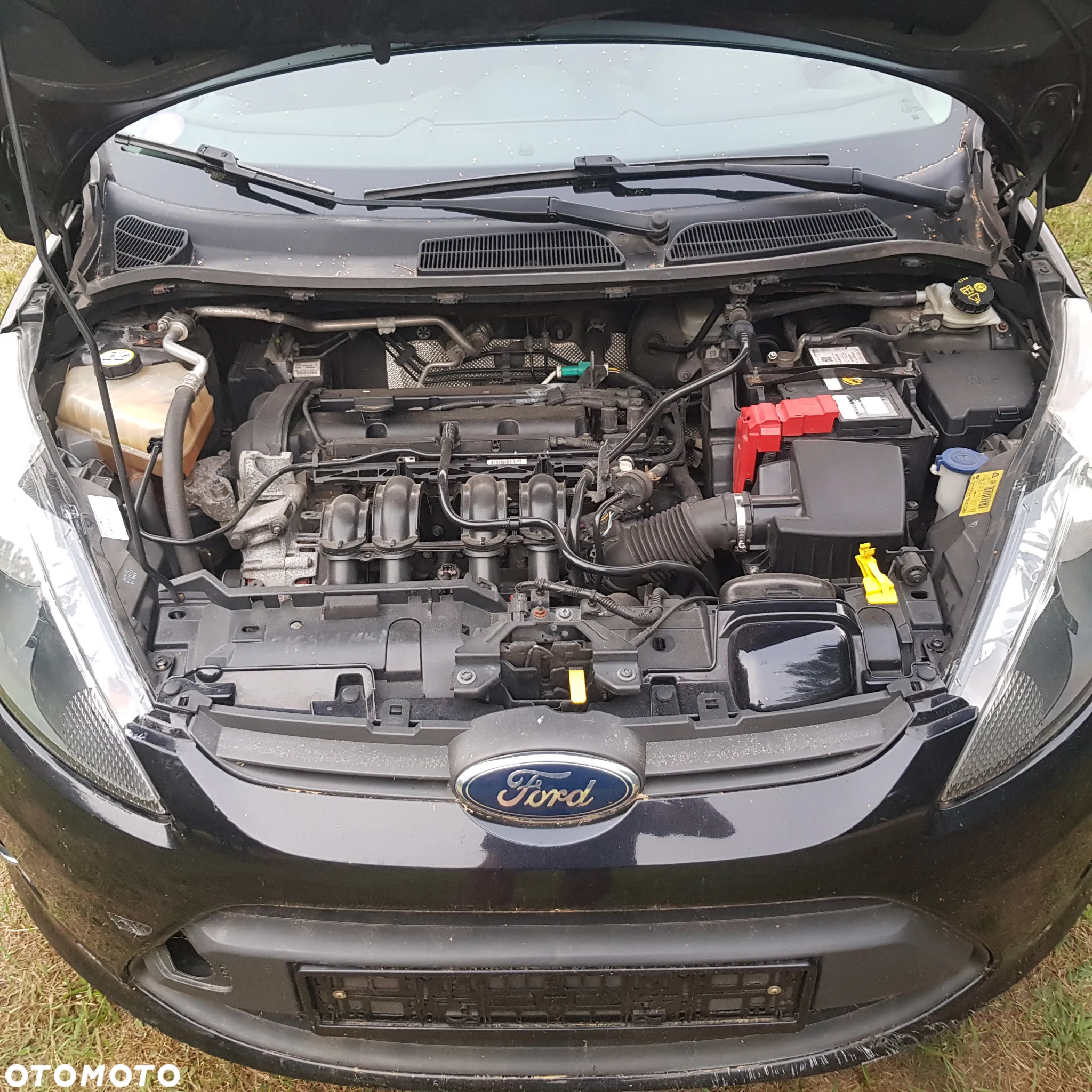 Ford Fiesta 1.25 Celebration - 11