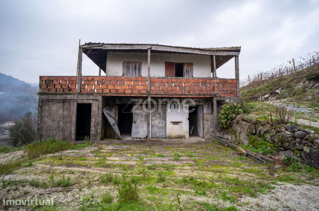 Quinta com vinha e árvores de fruto | Projeto ideal para turismo ru... - Grande imagem: 5/32