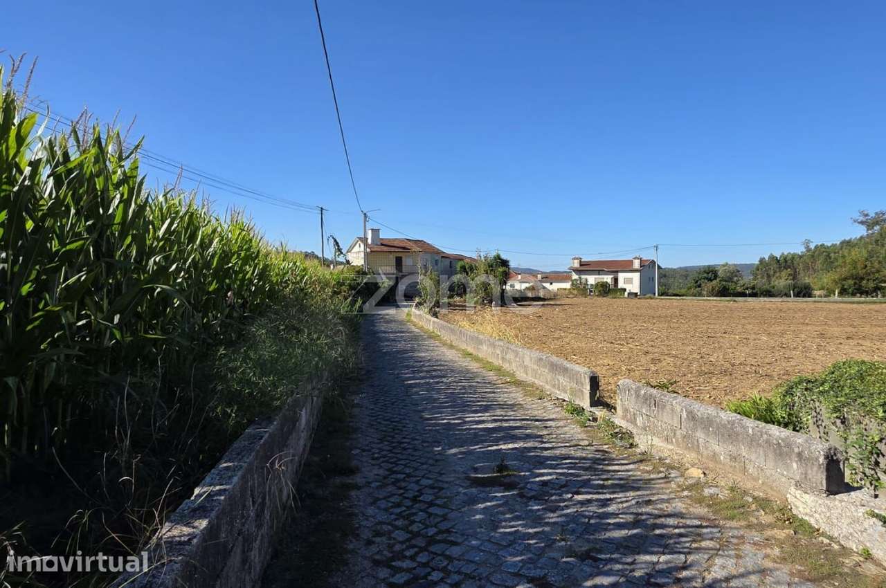 Terreno Agrícola em Sequeade, Barcelos - Grande imagem: 3/6