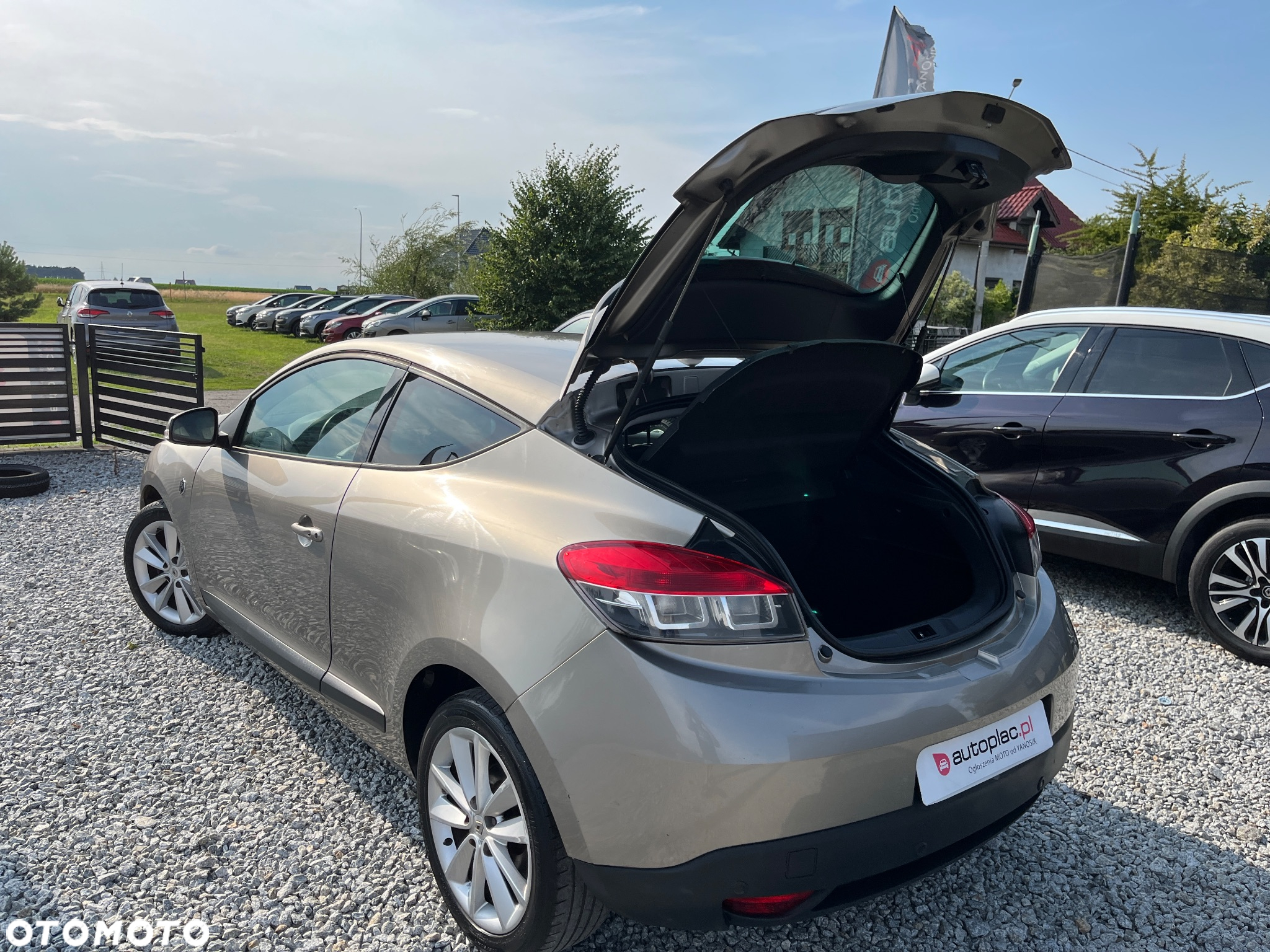 Renault Megane - 22