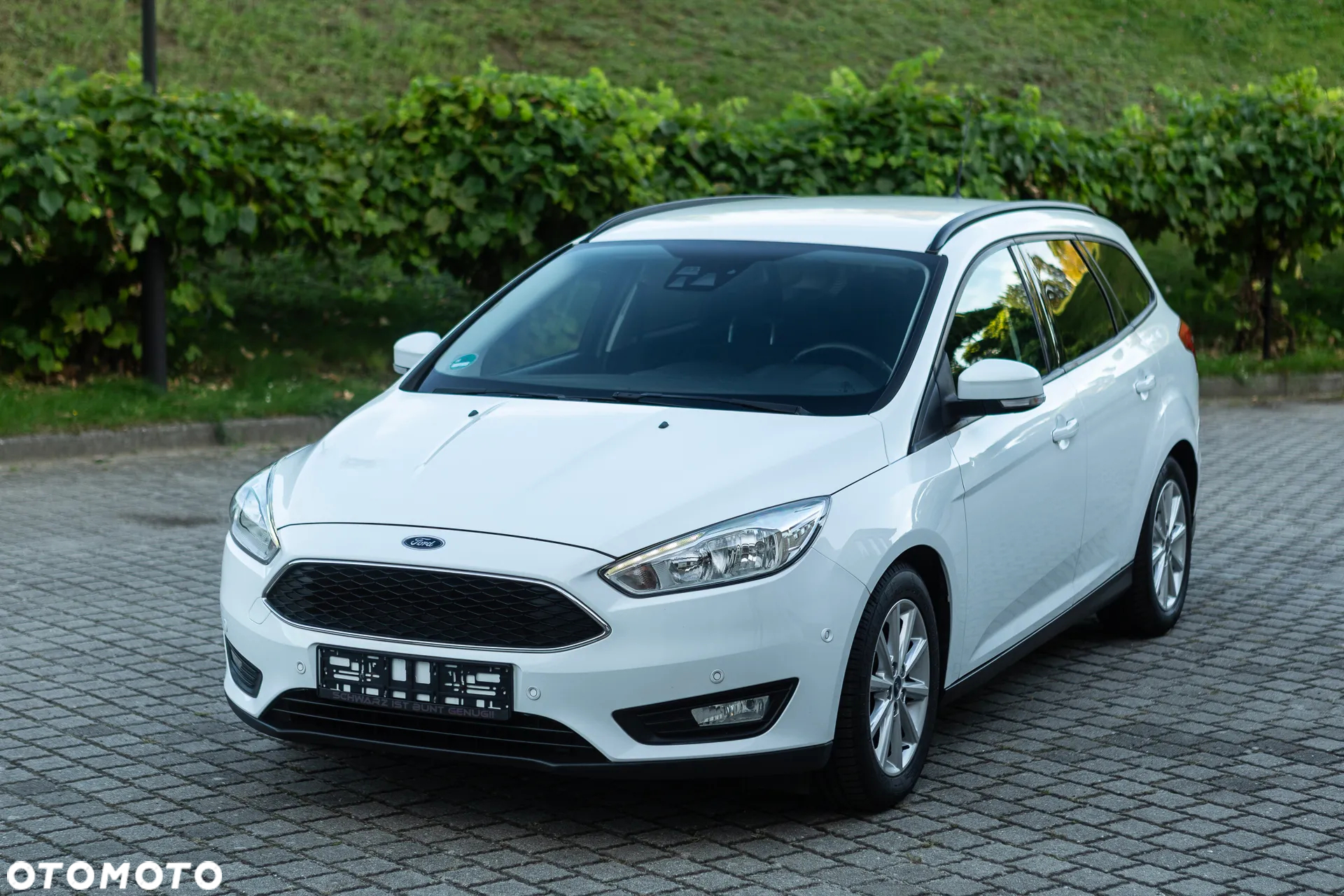 Ford Focus - 4