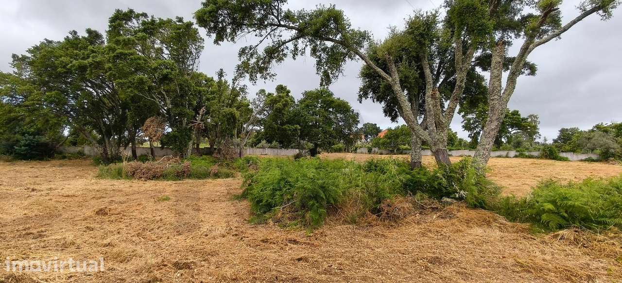 Terreno para construção em Figueiró dos Vinhos - Grande imagem: 4/17