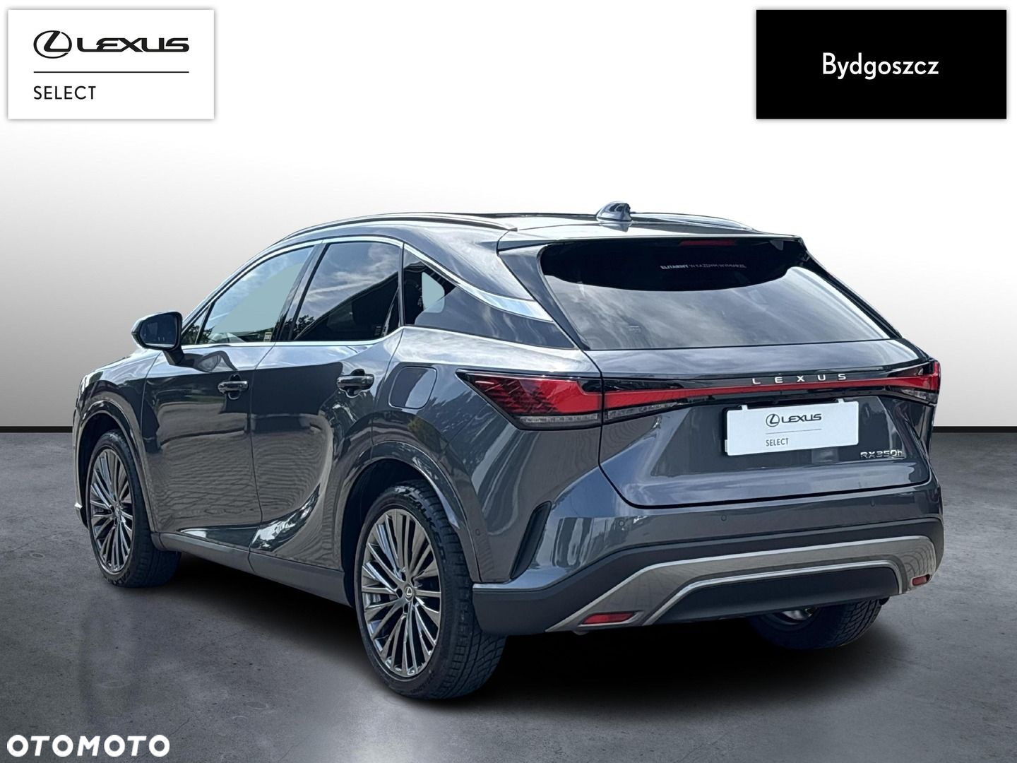 Lexus RX - 4