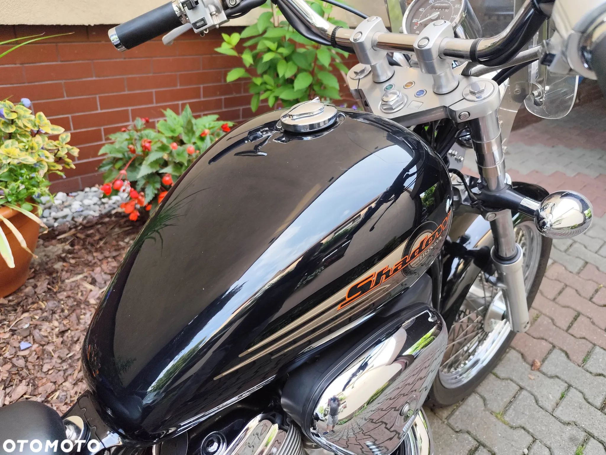 Honda Shadow - 13