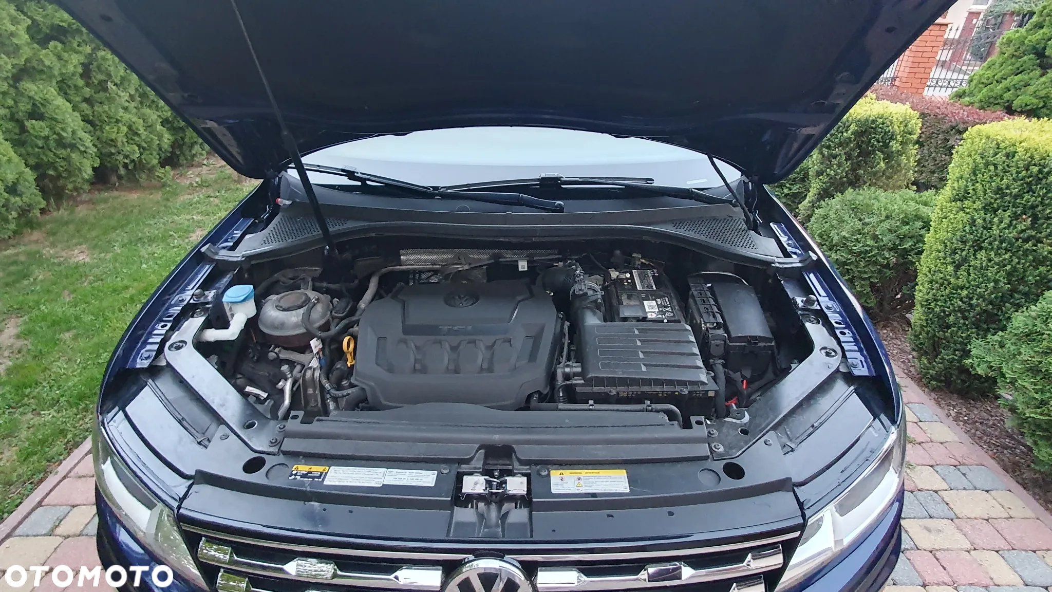 Volkswagen Tiguan - 19