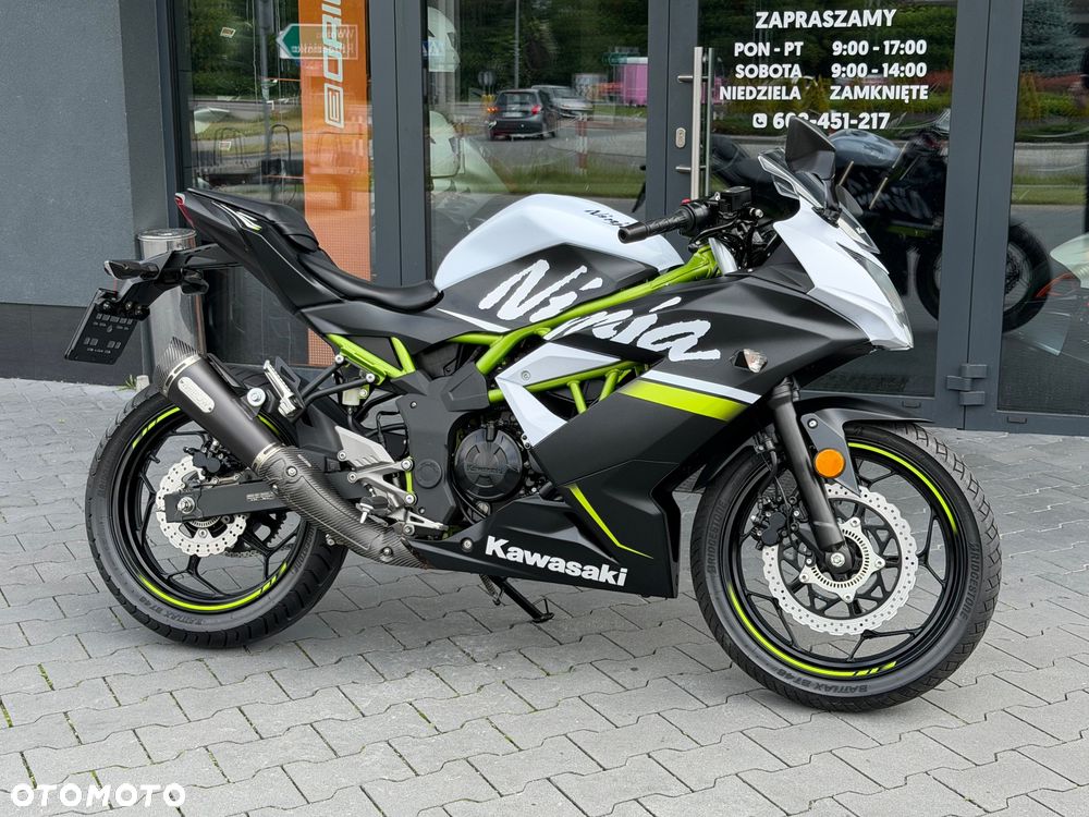 Kawasaki Ninja - 2