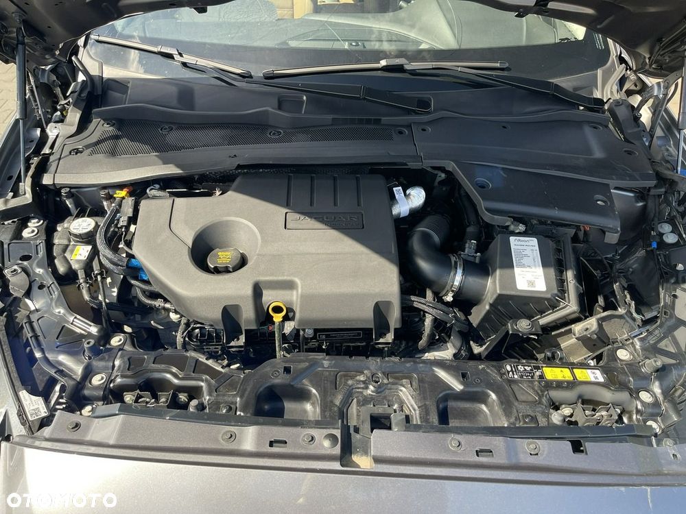 Jaguar E-Pace D165 AWD SE - 16