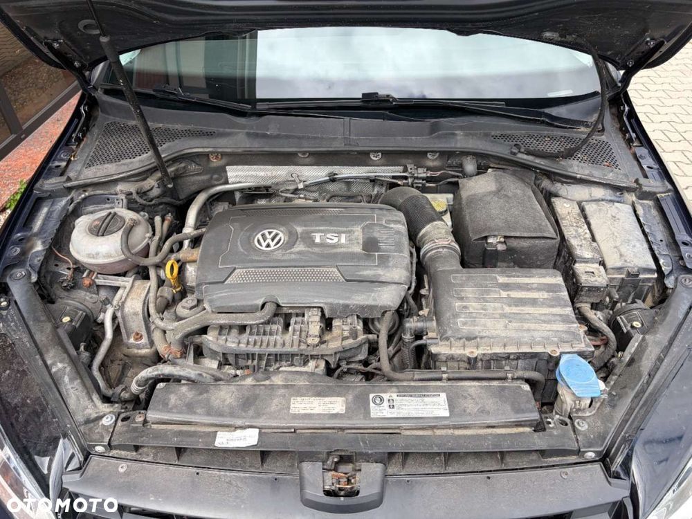 Volkswagen Golf - 24