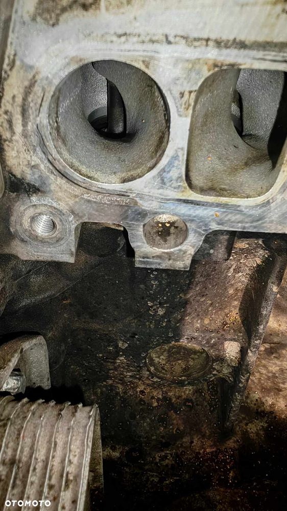 Mercedes-Benz Klasa C 220 CDI DPF Automatik Avantgarde - 18