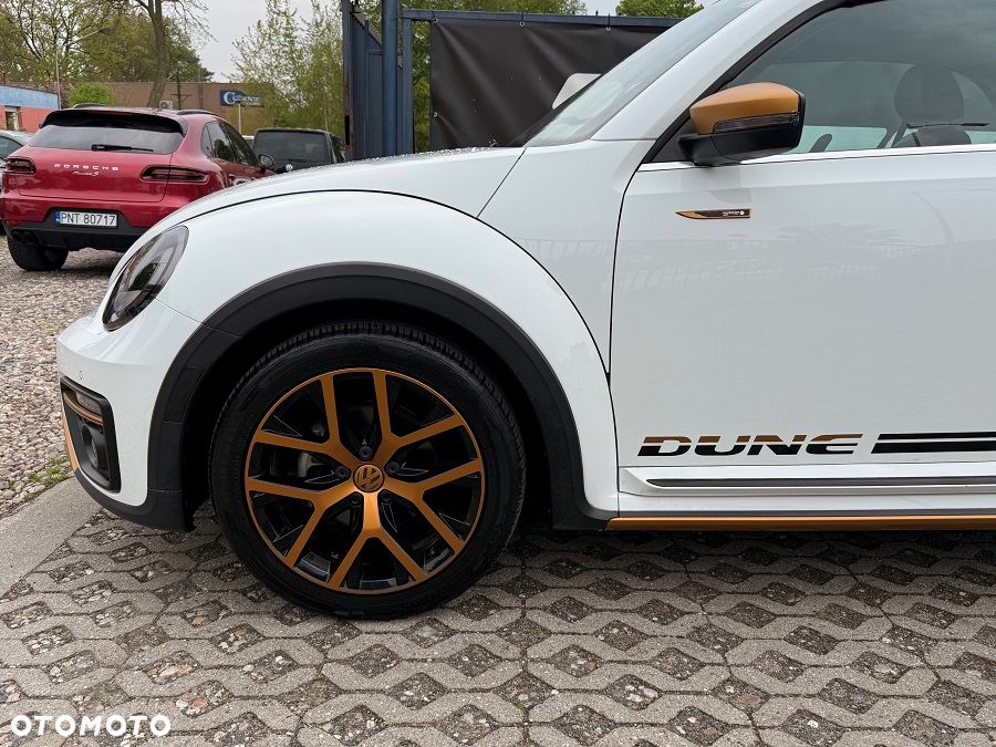 Volkswagen Beetle - 14