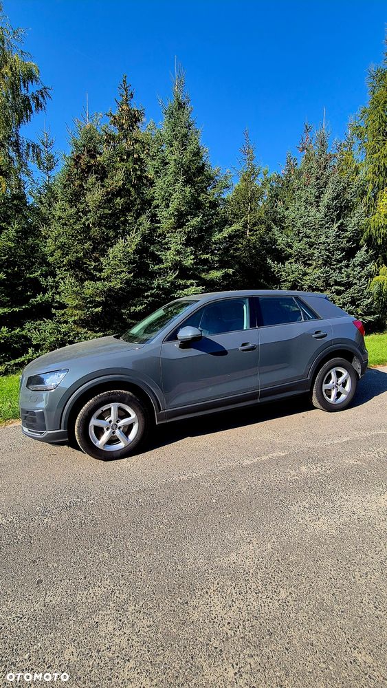 Audi Q2 2019 photo 2