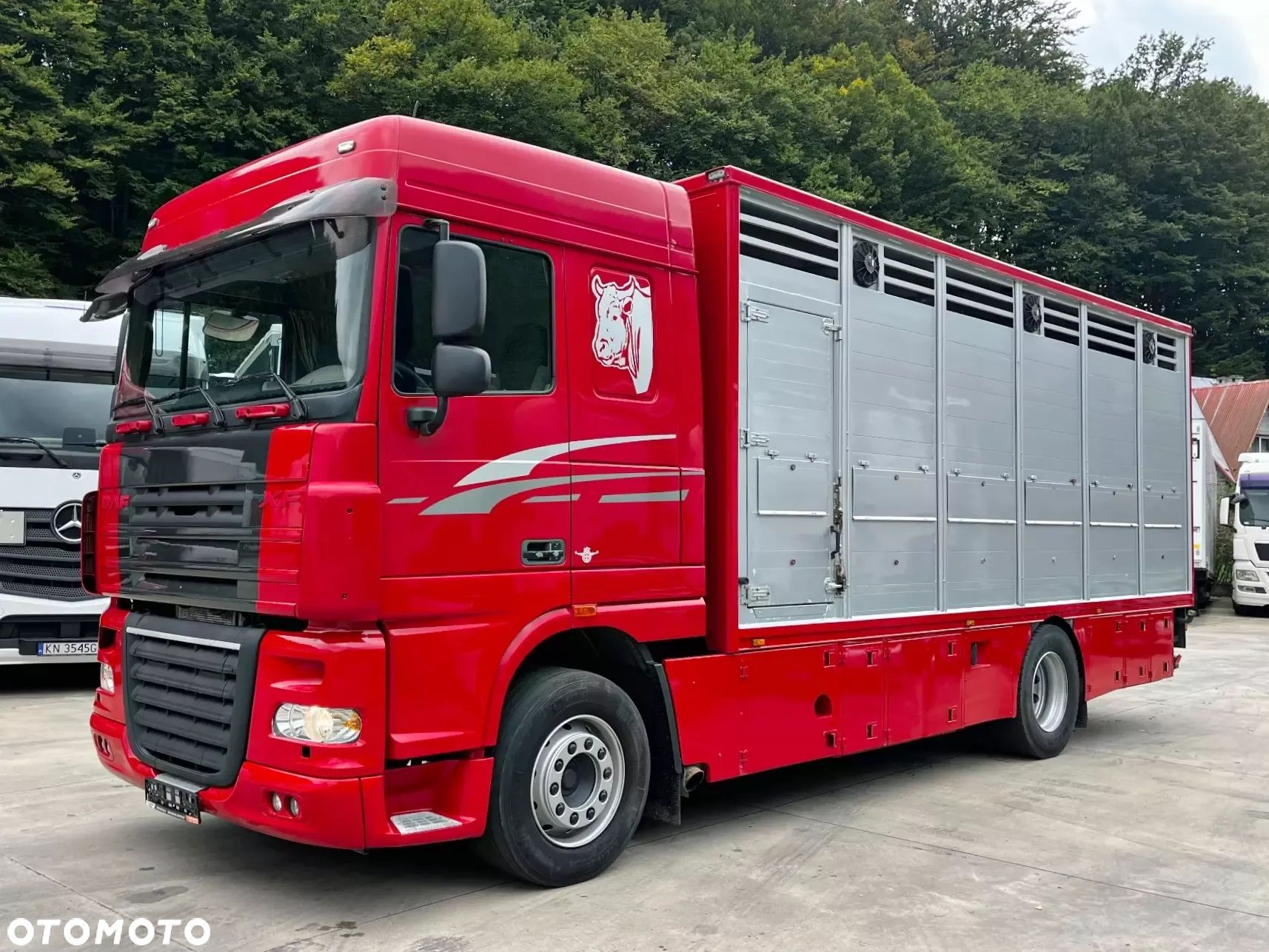 DAF XF 105.460 Euro 5 // Manual // Retarder // Do Żywca / Bydła / Zwierząt / - 1