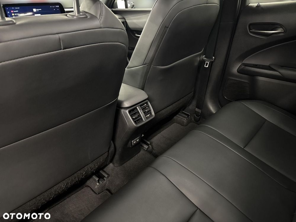 Lexus UX 250h GPF F Sport Design 2WD - 10