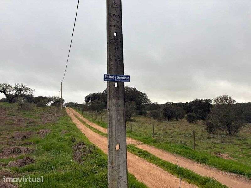 Olival com 12 500m2 vedado com agua . - Grande imagem: 4/8