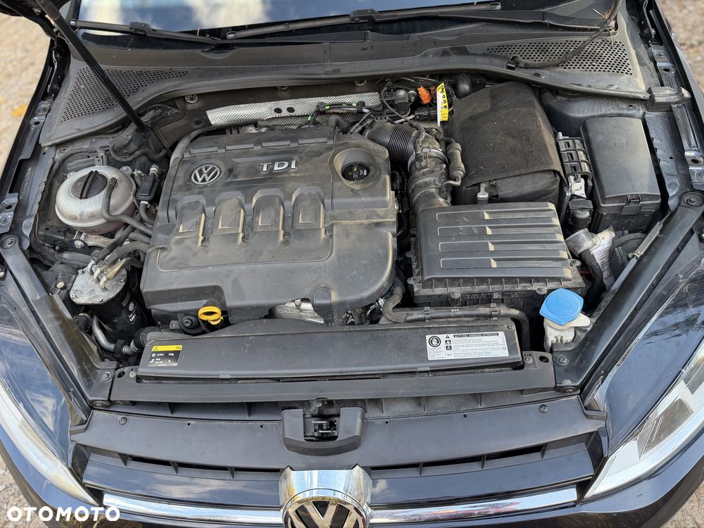 Volkswagen Golf - 7