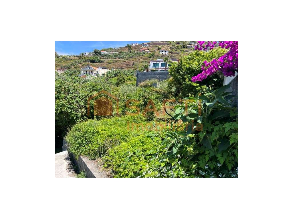 Moradia à Venda na Ribeira Brava com Vista Mar - Grande imagem: 5/34