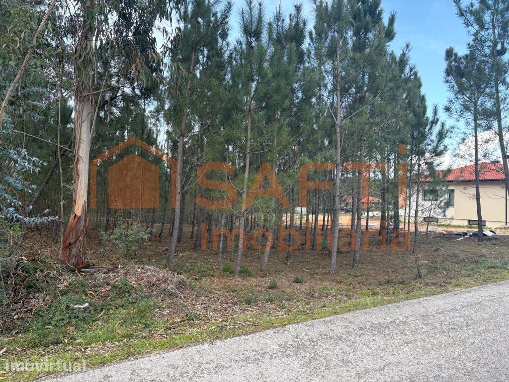 Terreno para construção | 2.760 m² | Charneca - Pombal - Grande imagem: 5/14