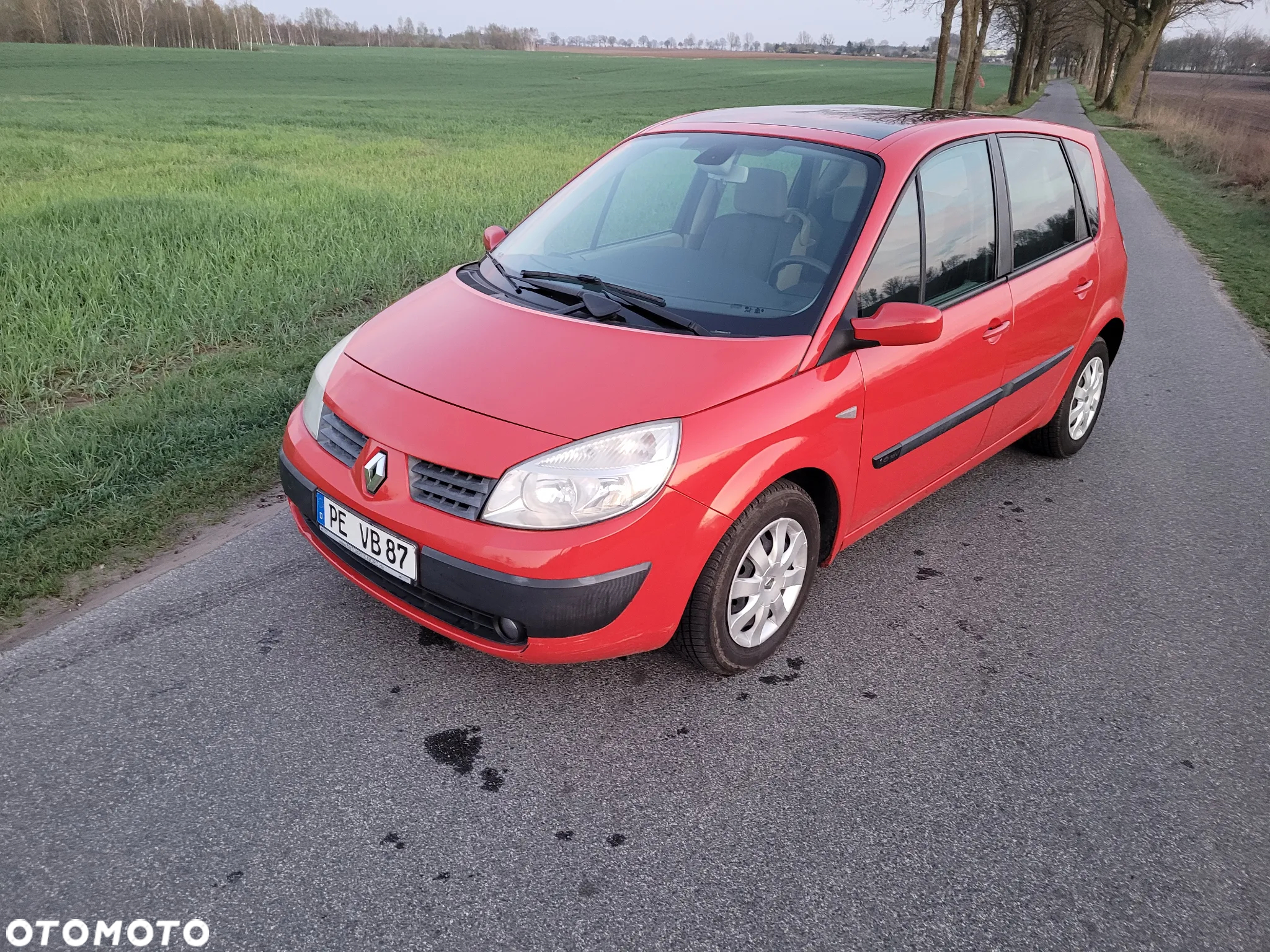 Renault Scenic 1.6 16V Authentique Avantage - 23