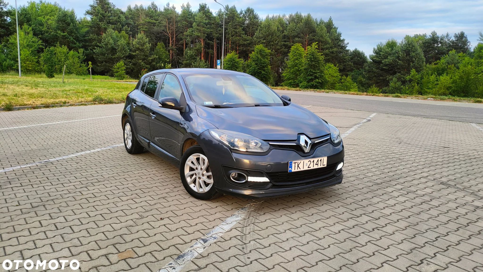 Renault Megane 1.5 dCi Energy Limited - 1