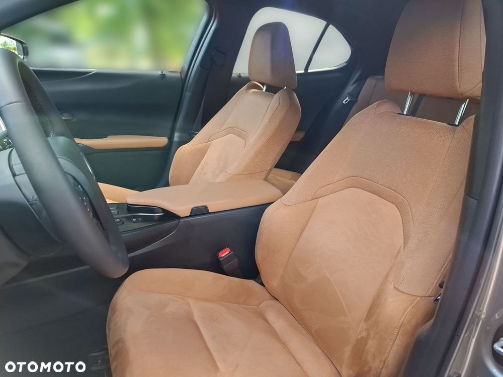 Lexus UX 300h Business - 10