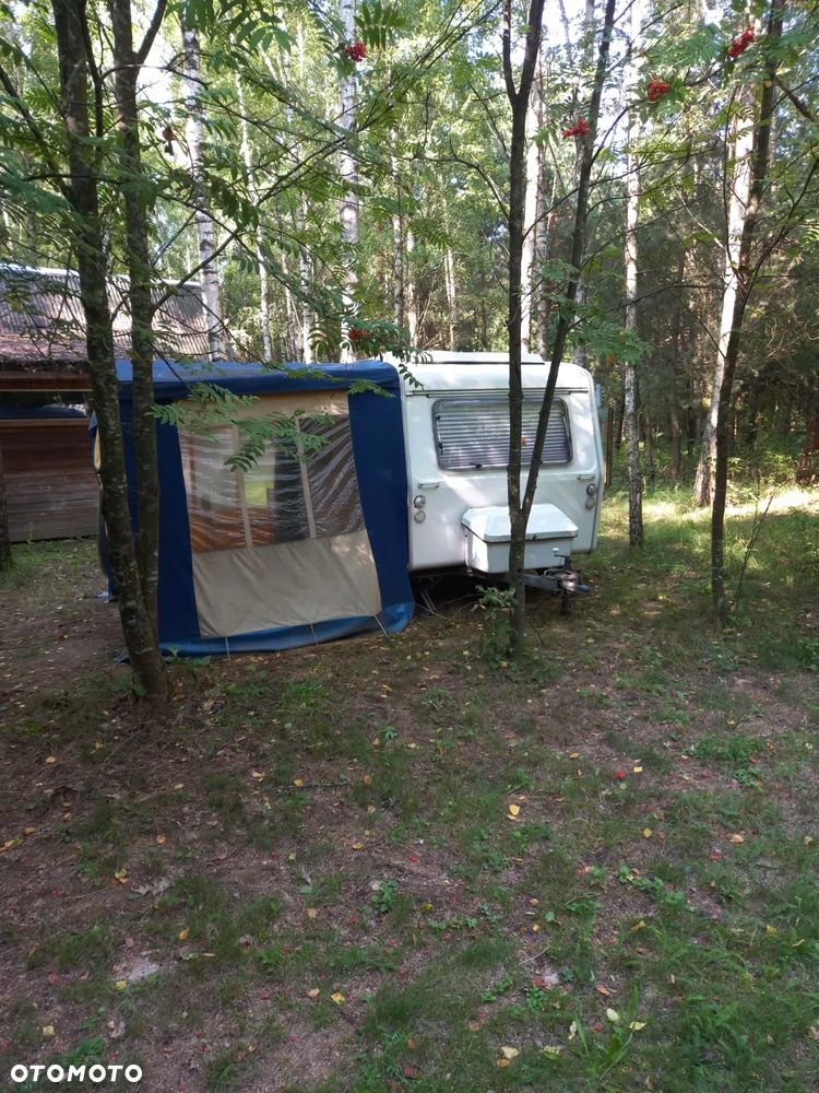 Niewiadów N126 - 19