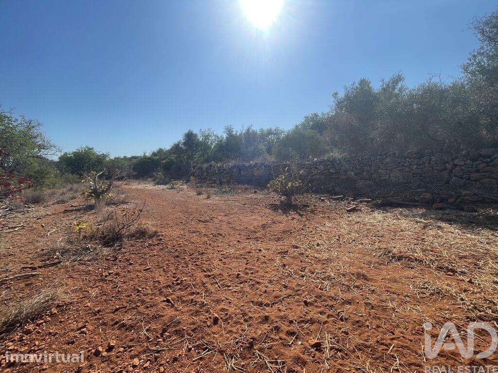 Terreno Agrícola em Silves - Grande imagem: 2/4