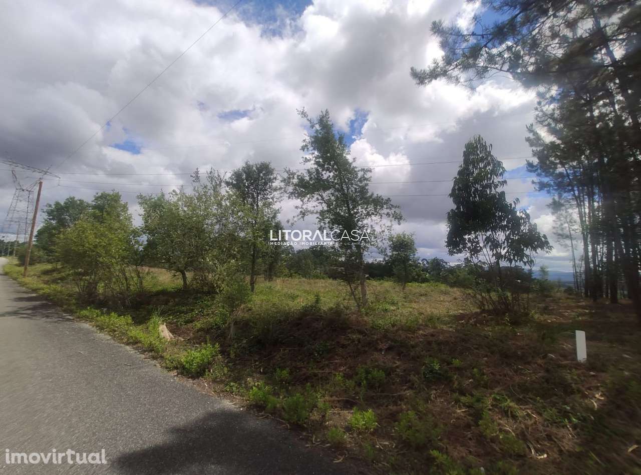 Terreno para construção de Armazéns | Moradias | Águeda - Grande imagem: 5/10