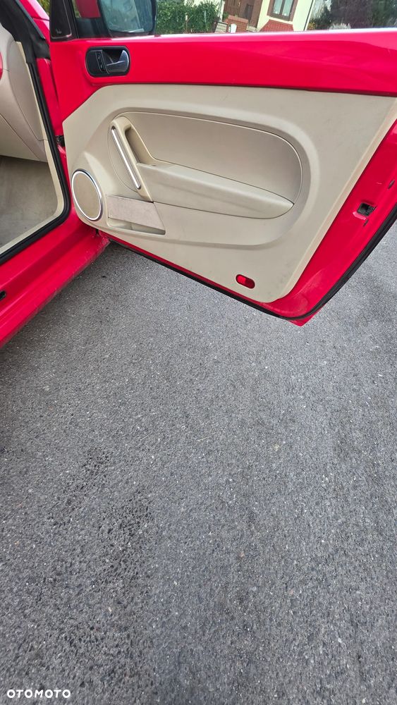 Volkswagen Beetle - 14