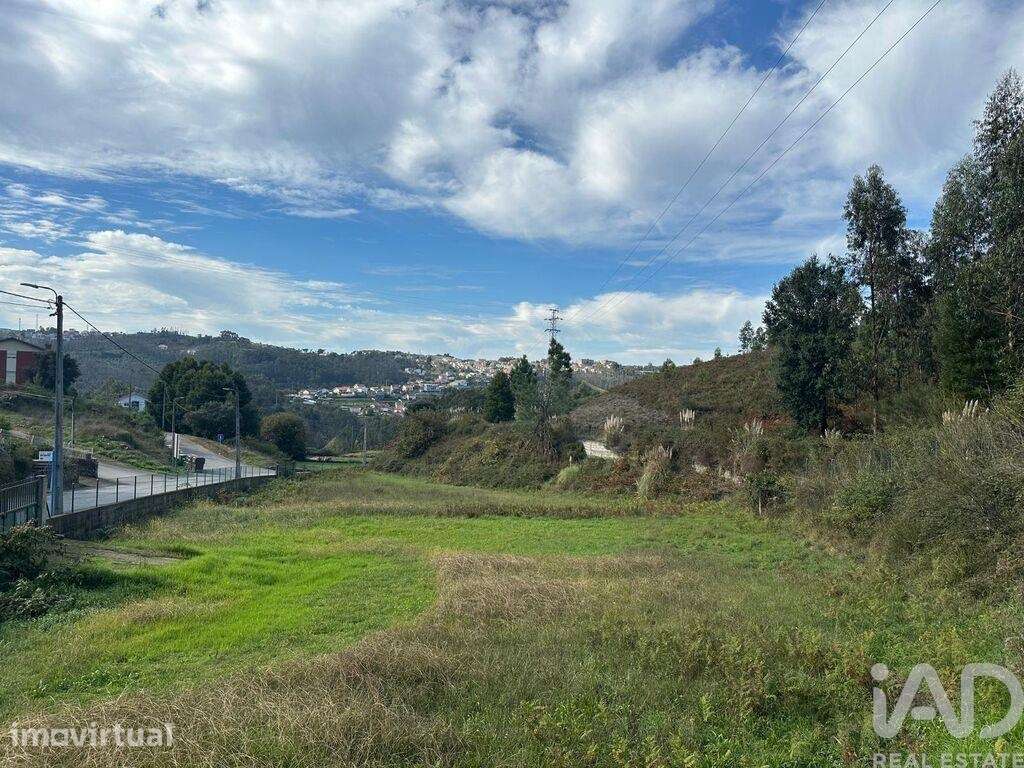 Terreno Agrícola em Foz do Sousa e Covelo - Grande imagem: 3/4