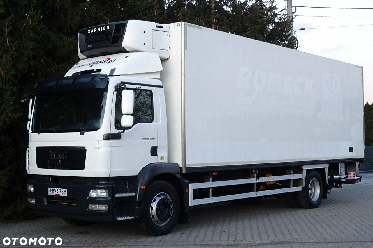MAN TGM 18.250 Euro 5 chłodnia 20 palet winda sprowadzony - 20