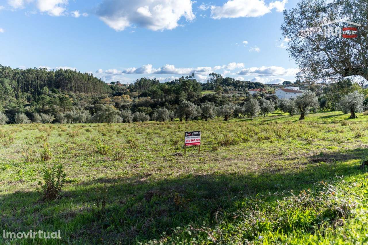 TERRENO 12.633 M2 NUMA ZONA HABITACIONAL TRANQUILA EM ATOUGUIA - Grande imagem: 2/14