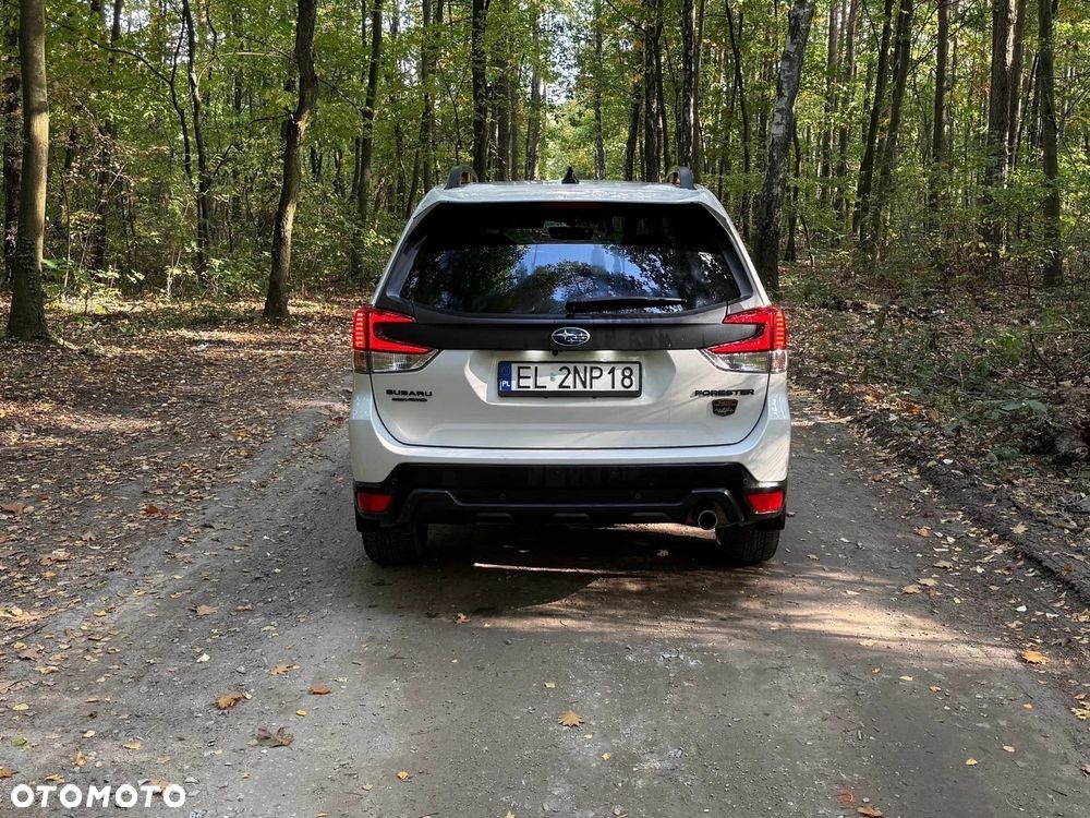 Subaru Forester - 19