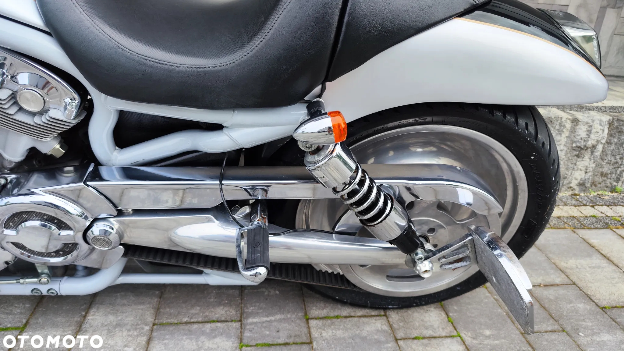 Harley-Davidson Softail V-Rod - 14