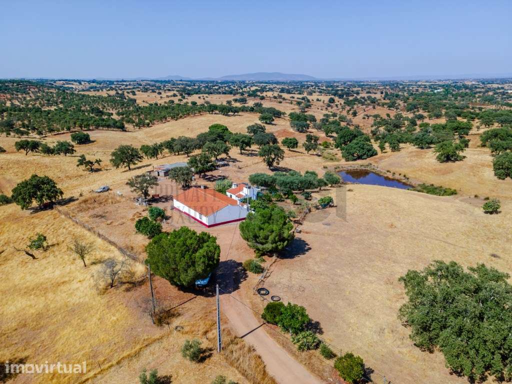 Herdade T3 em Serpa - Excelente oportunidade no Alentejo