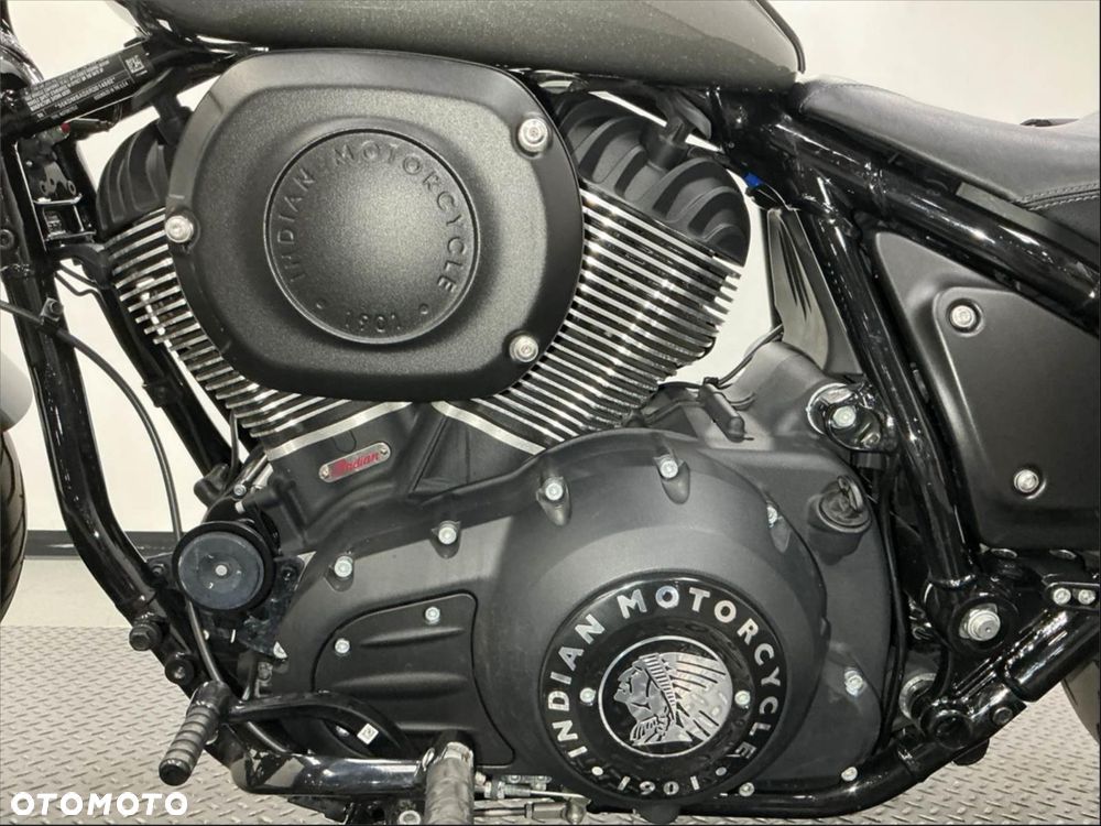 Indian Chief - 6