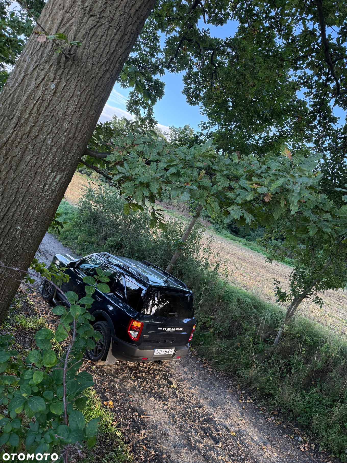Ford Inny - 22