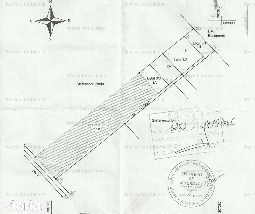 Oportunitate investitie teren  - DN4 - Imagine principală: 5/9