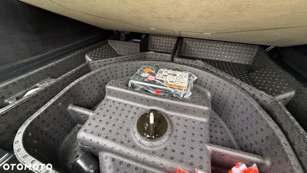 Ford Edge 2.0 EcoBlue Bi-Turbo 4x4 ST-LINE - 19